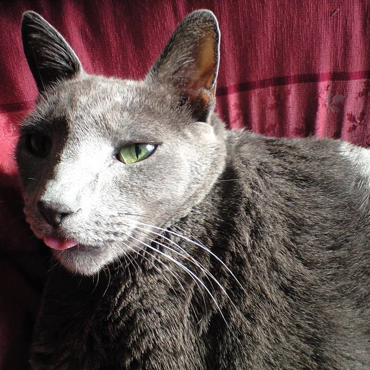 21f5acd5 a4c2 4dad a9b6 186a31741259