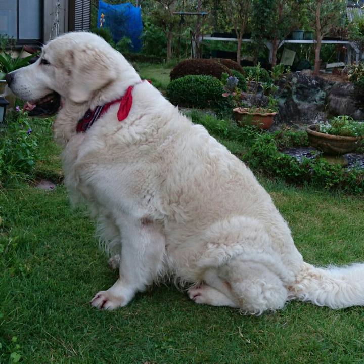 21f65069 bbd3 441d be55 973451319bdc