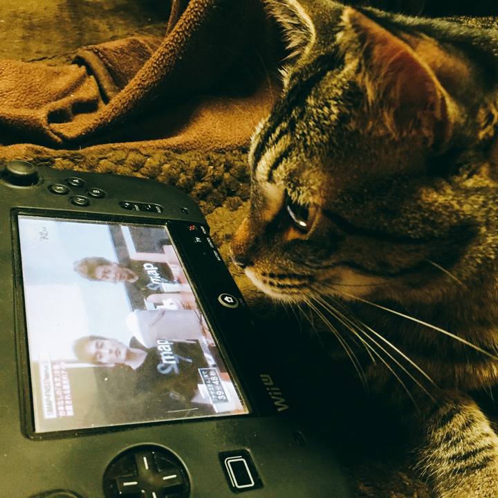 21f692c4 9dc7 4cea 99d9 6bb9529bfb6c