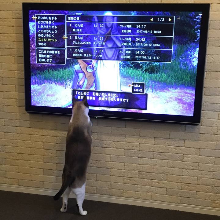 21f75689 12f1 4626 8939 59479f75cfc7