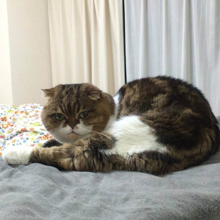 21f785cf d105 467e bf9f 7940ebb5c6f5