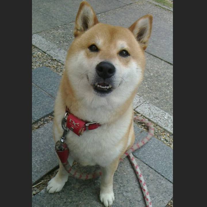 21f7a4b4 b031 4e44 a21f e8d0986b136b