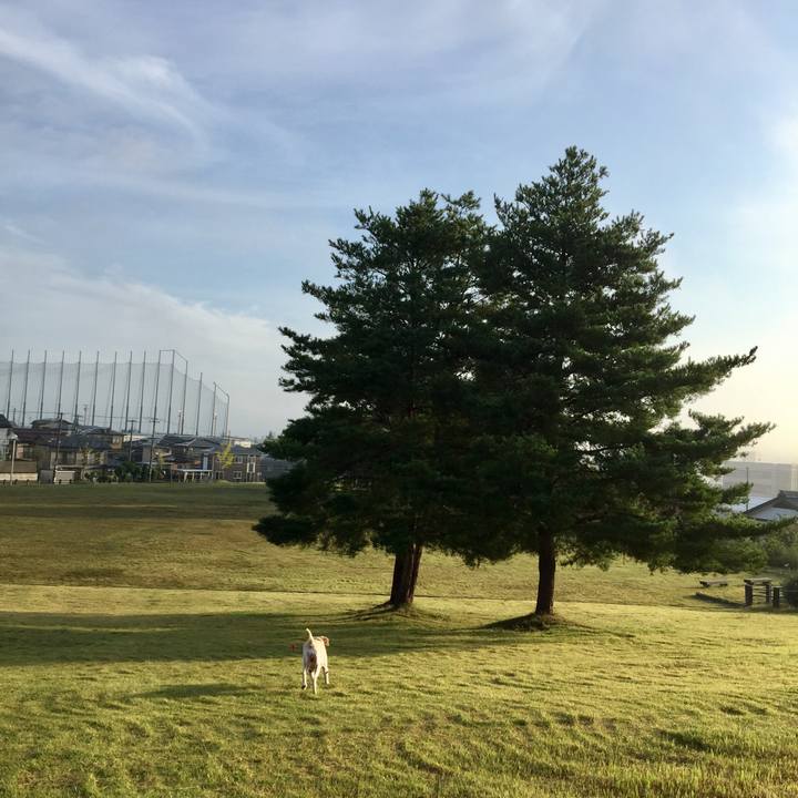 21f82705 bc3a 46e1 a954 fe8daf9c0a09