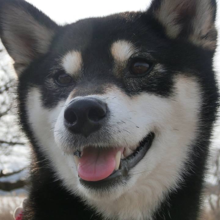 21f8d70d 4549 49eb a8ba bae873308c52