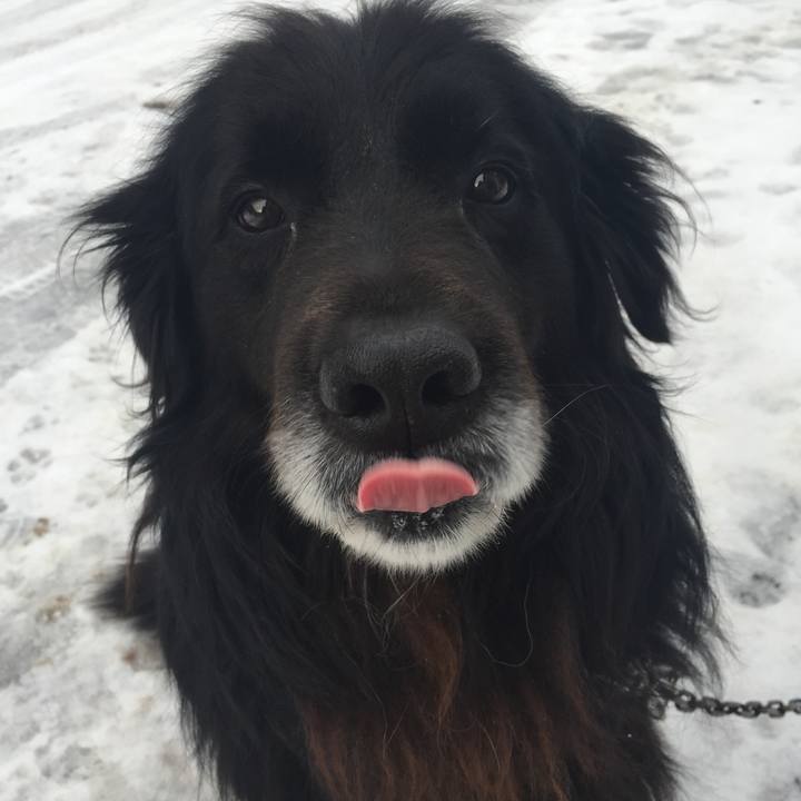 21f901f4 d201 419e 9401 ce44b1d0161c