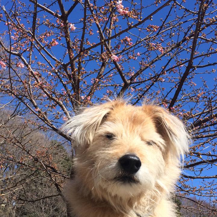 21f9136f 5053 4a39 8a20 3f4535993198