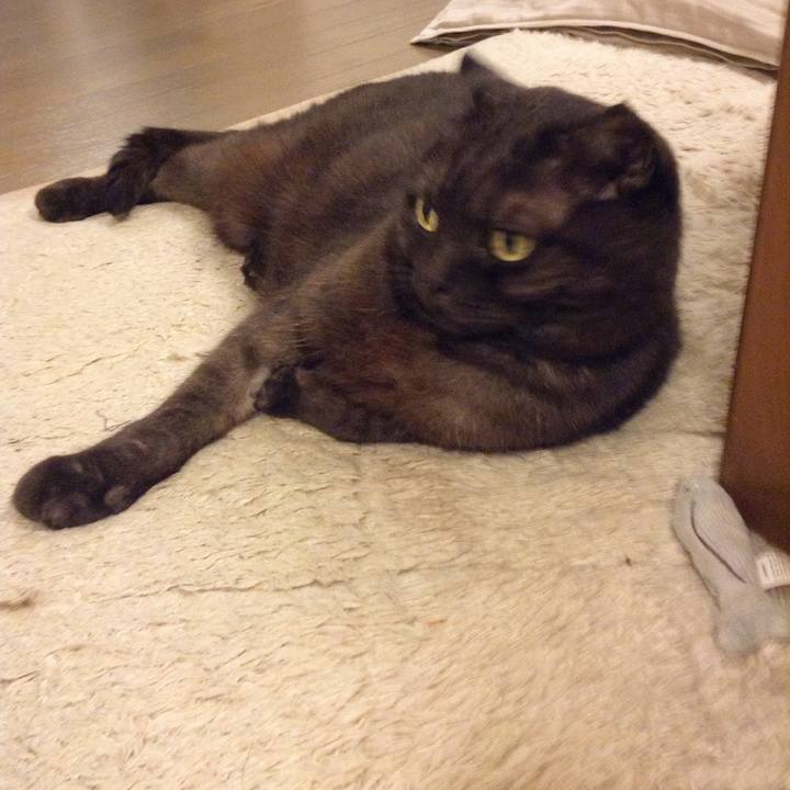 21f92922 d70d 40ba 8df6 2daa15a748f9