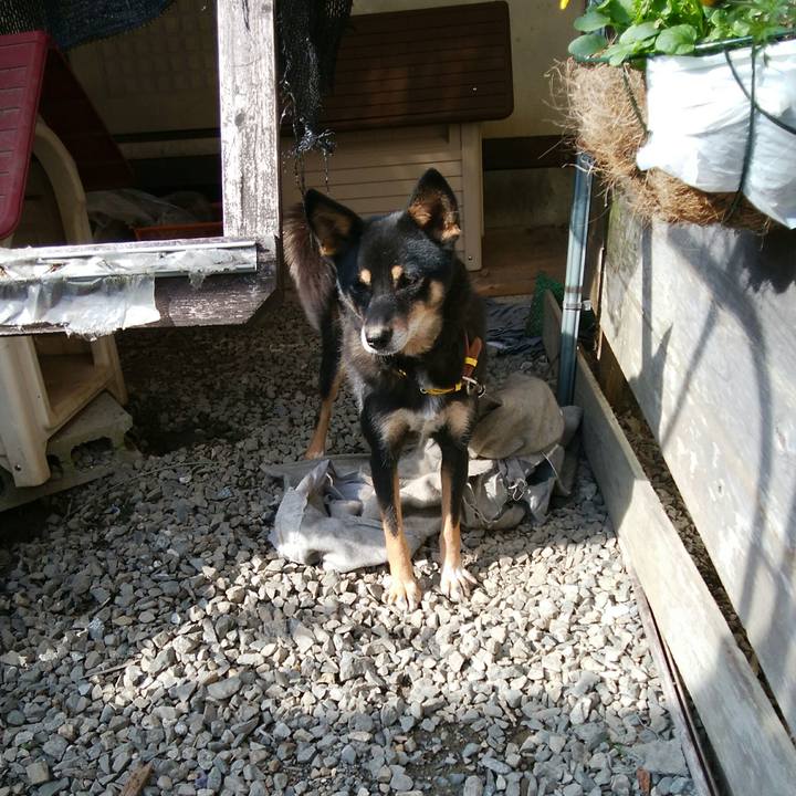 21f93f6c 89cc 4565 887b fc9cd369f767