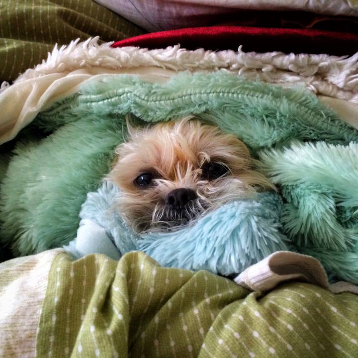 21fa15f5 22f9 49fe 9537 5ff7f10114a6