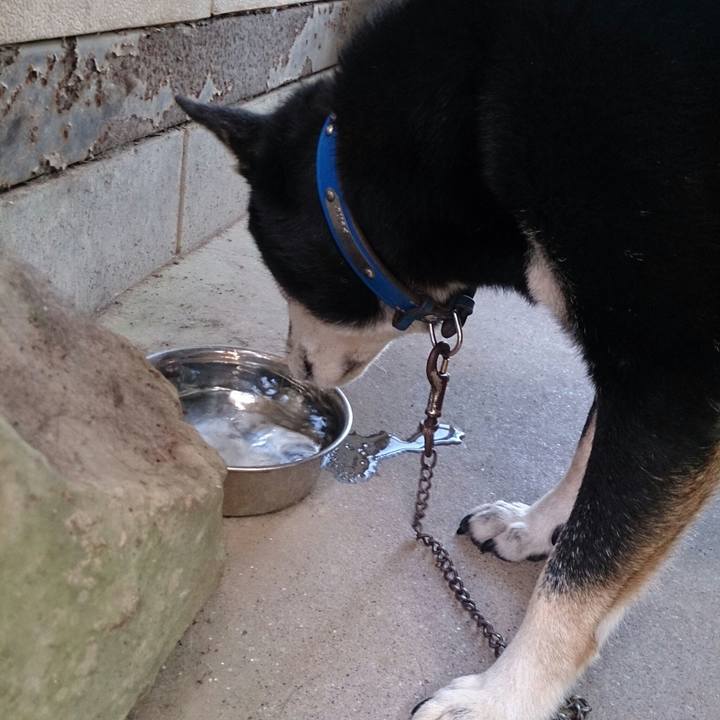 21fabbab c33e 46f9 a091 15b5b996701f