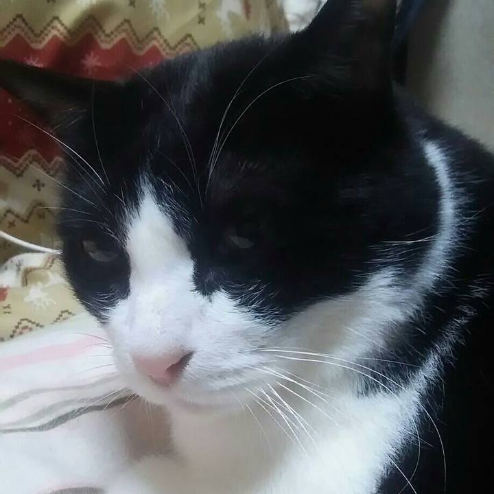 21fb05fe c365 4d6c a2c6 91c7b9231099