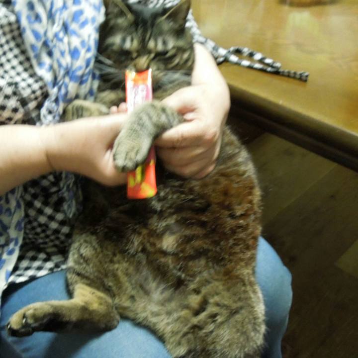 21fb2edc 775f 48e0 91e3 d9f271676f95