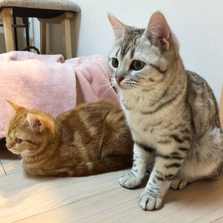 21fb7fa0 dac7 43ad b962 594d9fde837c