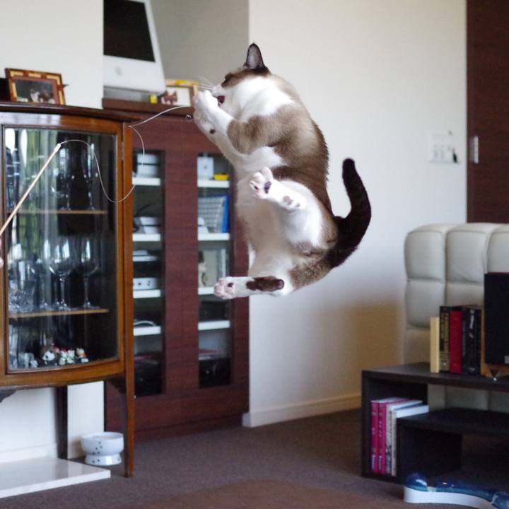 21fcbe80 95e2 4731 986e 213f4ec197a4