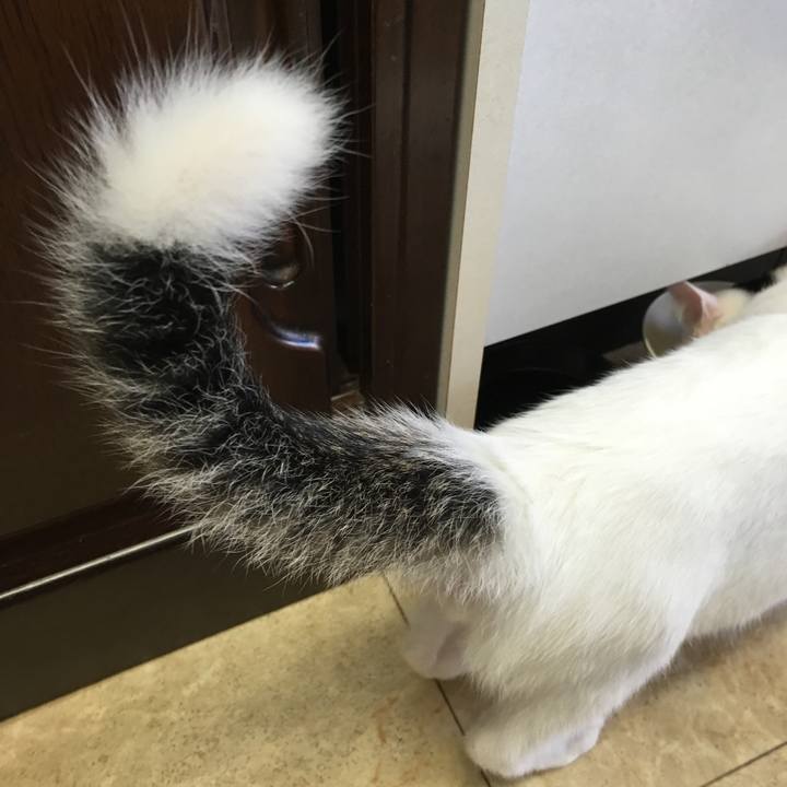 21fd2d7a 4ac9 4e86 9aea f18c3b137128