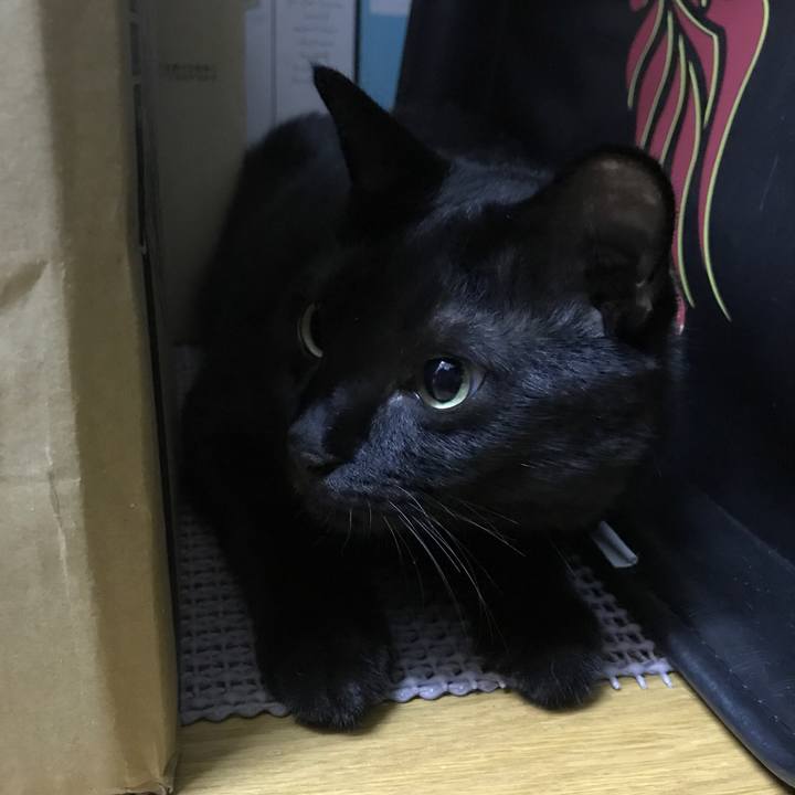 21fd77ce c8b0 45d7 a46d e74d8dc161c1