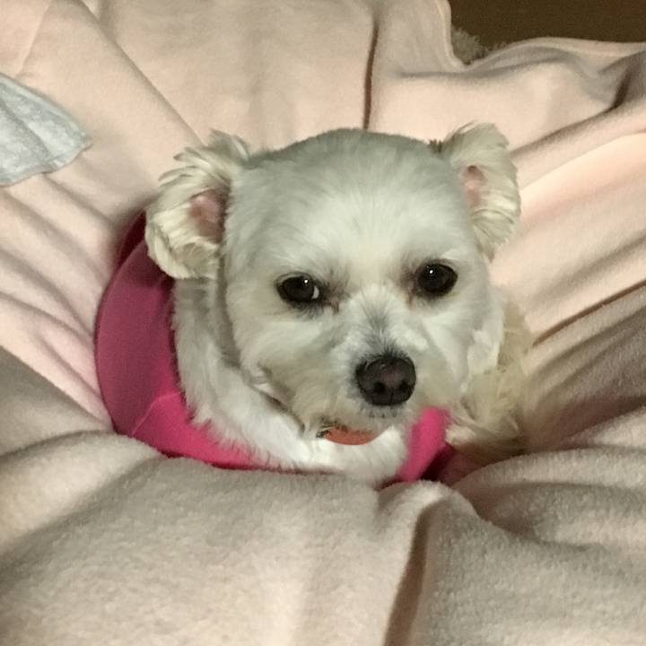 21fdcb13 9833 4918 a6d9 10da723571b7