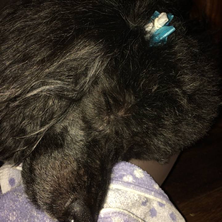 21fdfb0b 8789 4769 93ee 19932dc108ec