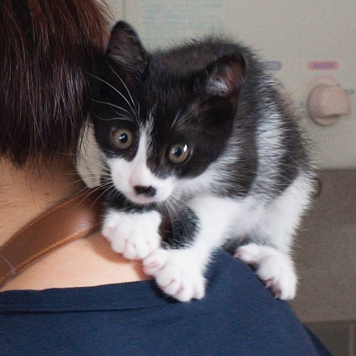 21fe5513 c705 4389 800d 380d12593b04