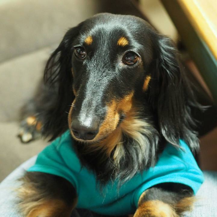 21fecace b2b8 443e 9e7d 45f9c9d224c3