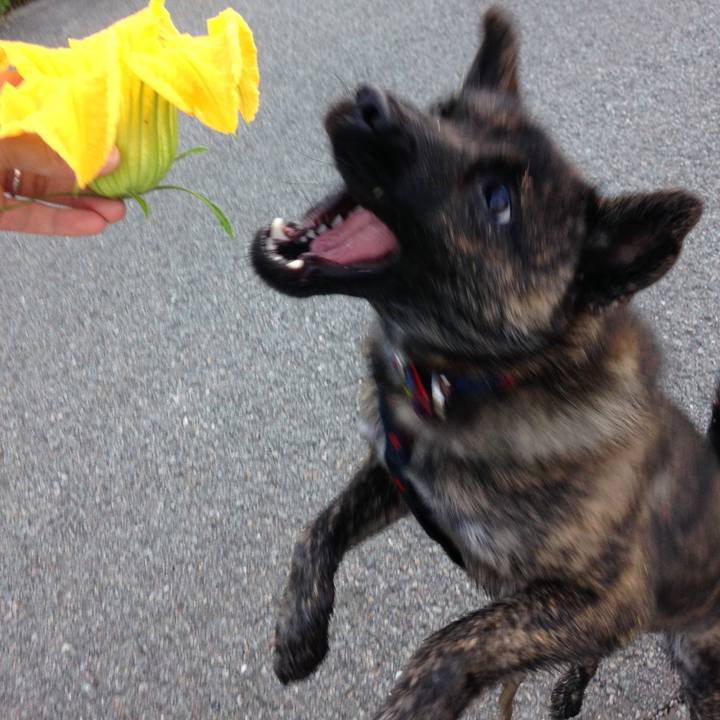 21ffd20a 9167 4ef2 bc23 bde770be9dc3