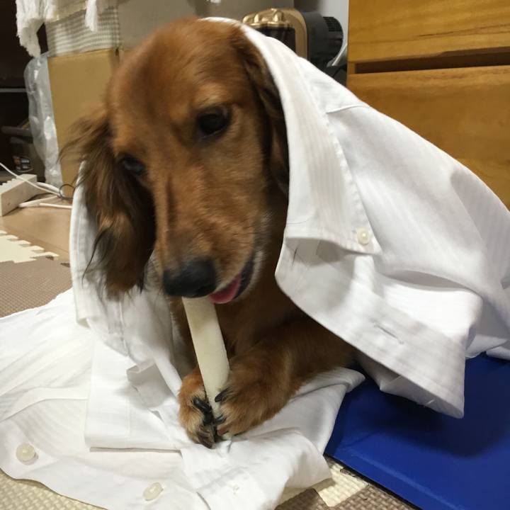 21fffca3 4da7 44a6 9ce4 f0050f570c35