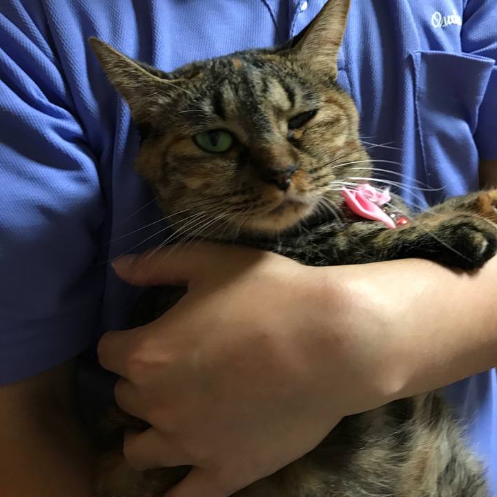 22009924 b2b3 45a8 8174 a7037bc431a0