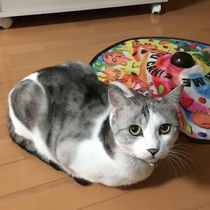 2200f093 a041 4b3f ad7e d811f3214103