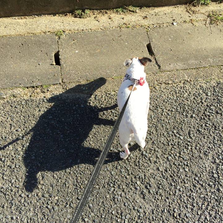 22015cde fda7 4058 bc6e 11e5f6f35bba