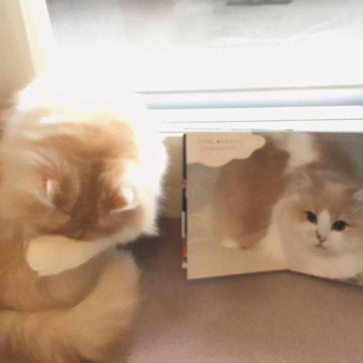 2201dce0 c228 4a9a ae22 83b50ac02407