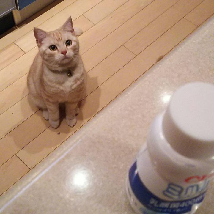 2201fc3e a78e 480e 82aa 285a4ecb8477