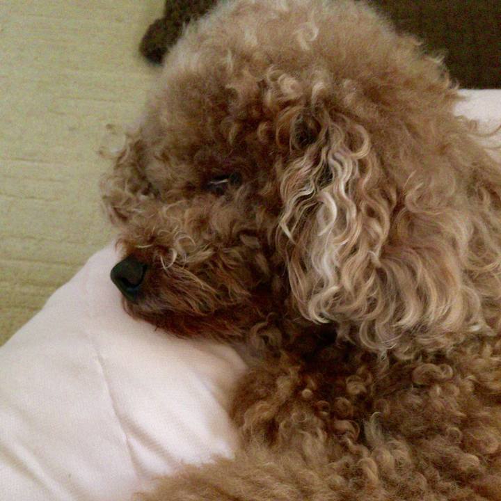 22023405 3b25 404a 8021 f79c5e204923