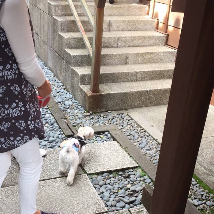 22028d6f 51d1 4028 82bb 621bc5f57b14