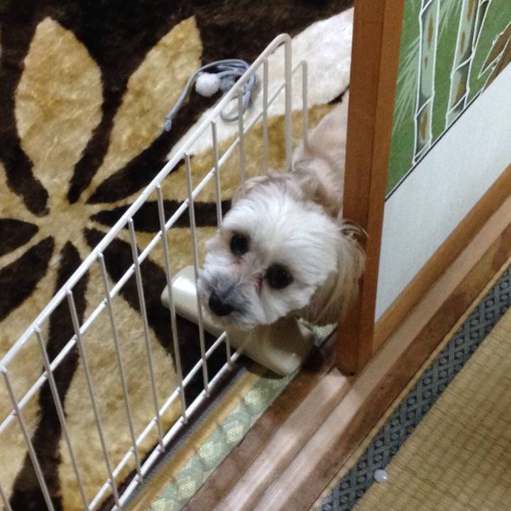 2202f355 f898 43f7 b9ef 19b8ec08b845