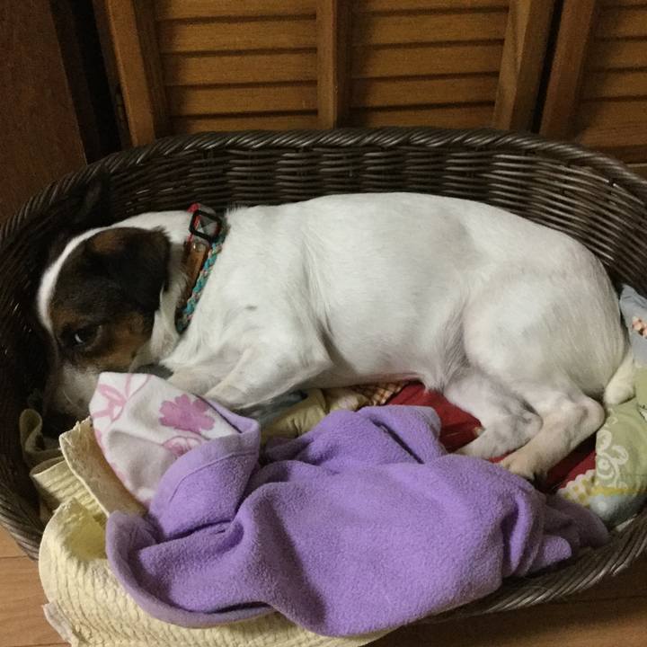 2204ccee 38bf 49d1 a7d7 58b65cc8909c