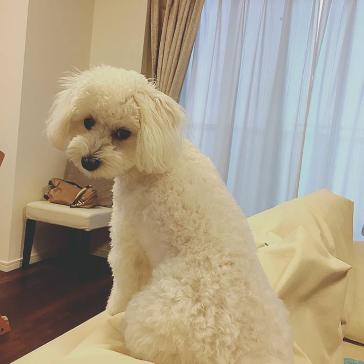 22053419 5b2a 4e44 9af9 e9972a781b68