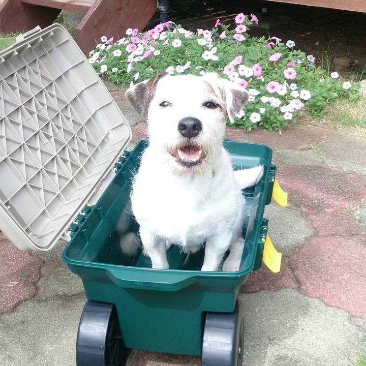 22056199 6e56 47fc 83b4 2bcee418290a