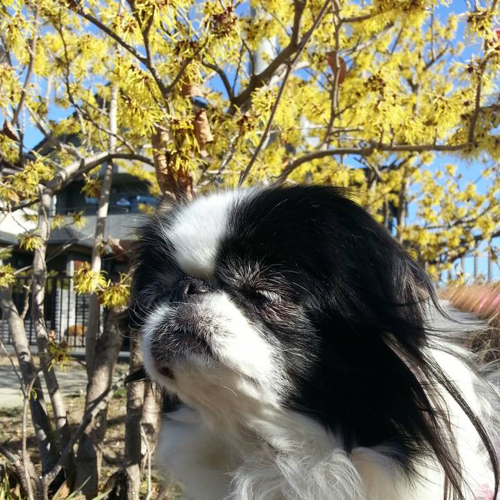 22059909 c721 4034 a9e9 8d53a9a7b475