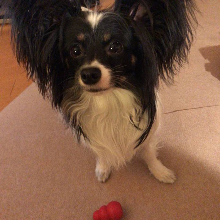 2206da55 74ec 48d5 beb2 dd798ff42b17