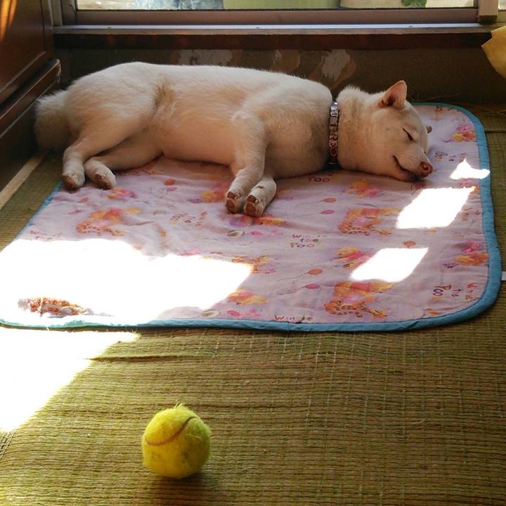 22070534 cf94 4fea adcf c34c4e977391