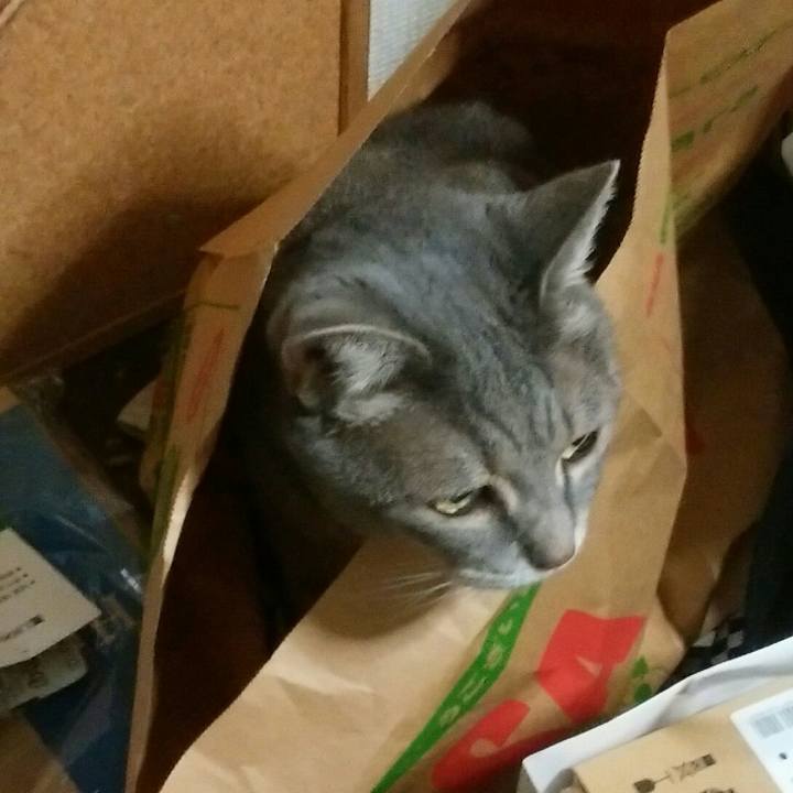 22074253 392c 40b1 ab5e 8080c6729cff