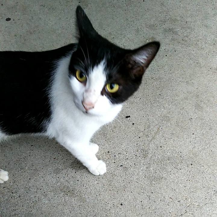 22075c58 e97c 4eb6 b22b 1ced4aadca99