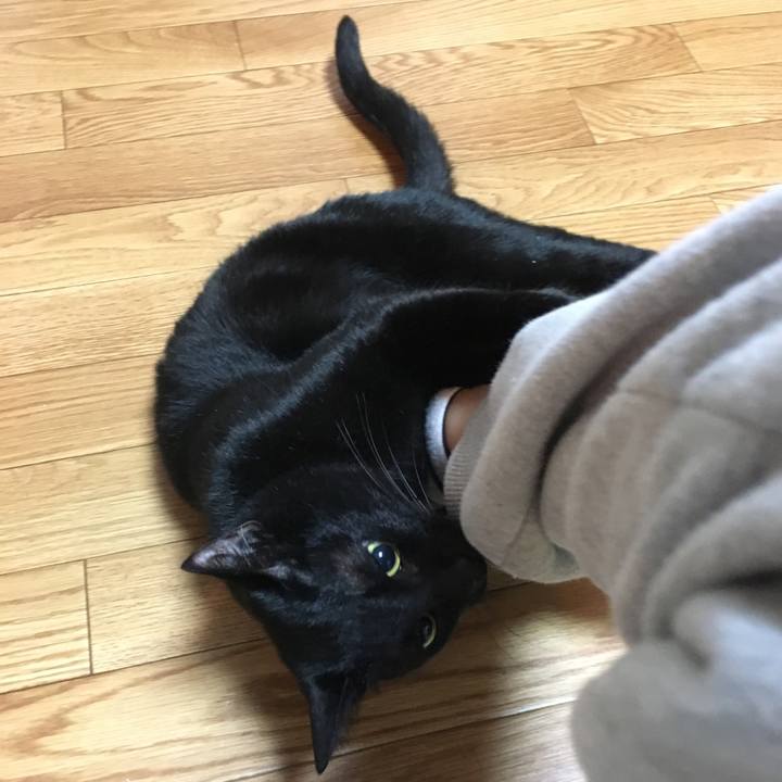 2207c36c 66f7 40d8 92b1 951820ad1ad6