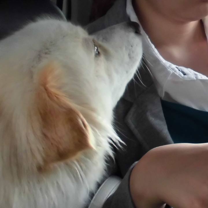 2207c3f5 fdce 442d 8288 a094849b06d2