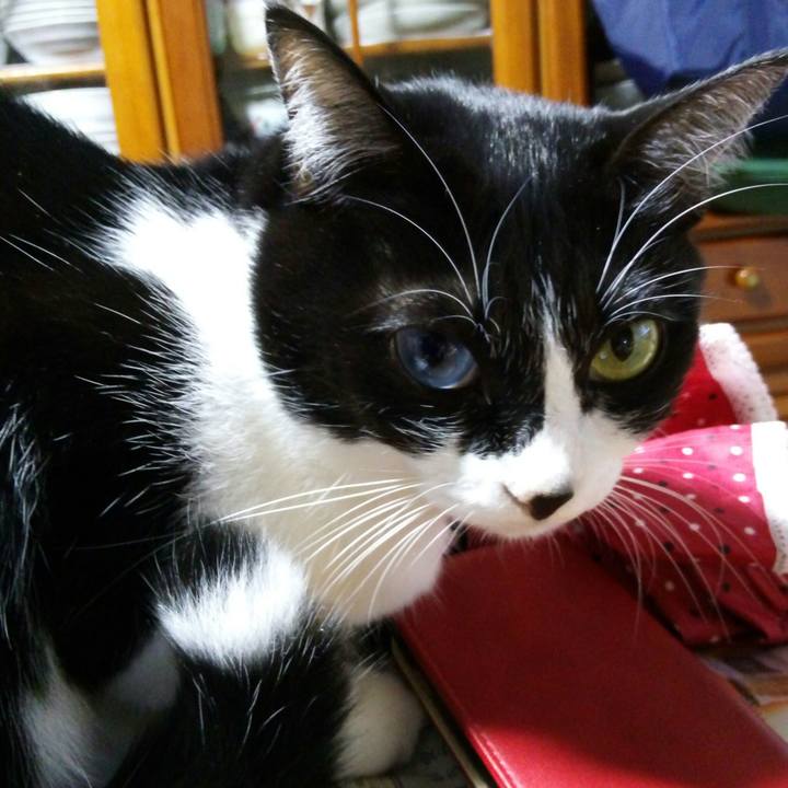 2208663d 0a38 4b88 a423 34795b508dd9