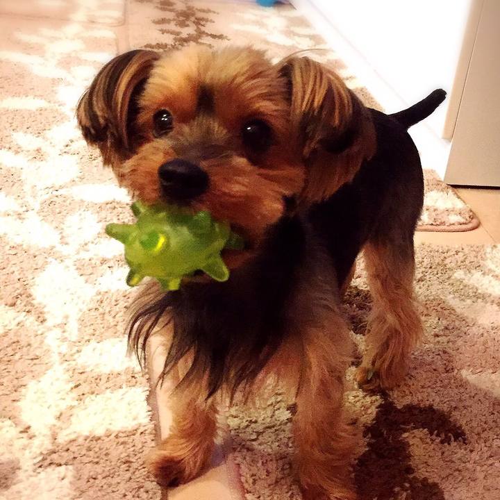 22090471 09de 4214 b994 3bc2cef1cf8c