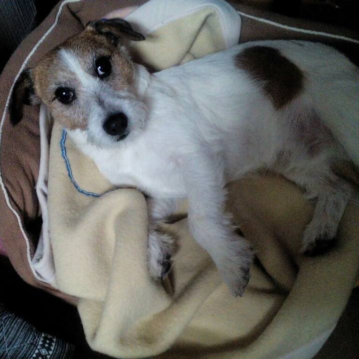 220976a4 e7cc 44f1 86ba 23790d1abd3e