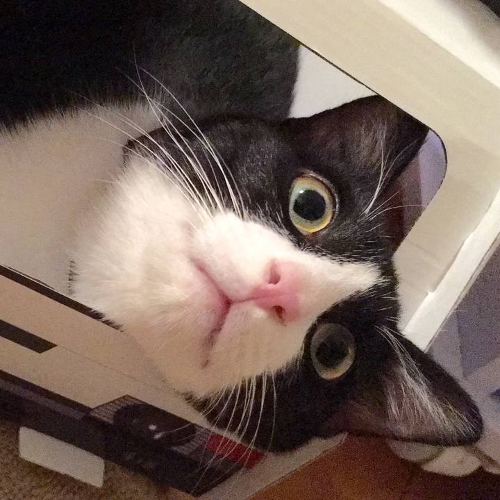 2209bdd2 6843 42ad 90c0 48e0be2a344a