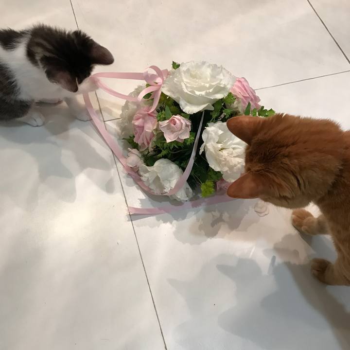 2209e9d1 cb5b 4b4d 9b1c 5dcd3eeda84f