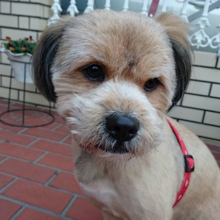 220a0767 b8f0 483f be93 efaa43c99040